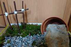 IMG-20210317-WA0000